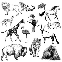 Set of hand drawn sketch style animals and birds isolated on white background. Vector illustration.