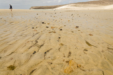 A small silhouette of a man walking on the beach on low tide