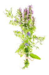 Bouquet of wildflowers lilac