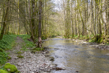 idyllic river at spring time
