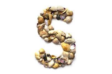 Alphabet of seashells on a white background. Letter S. Designer font