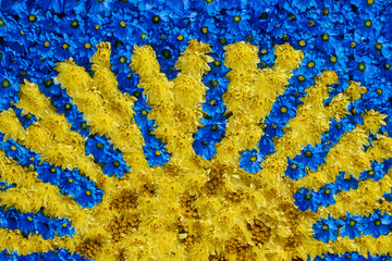 Beautiful yellow and blue flowers background. Сhrysanthemum flowers. Top view.