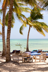 beach with coconut palm and sea