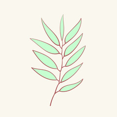 Eucalyptus, blue agonis thyme asparagus, herbal, floral