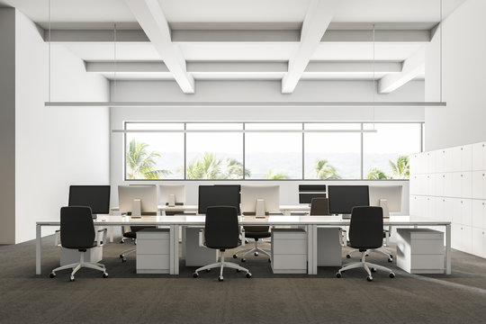 White tropic view company office, cubicles