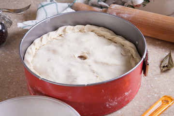 Cooked chicken pie with potatoes