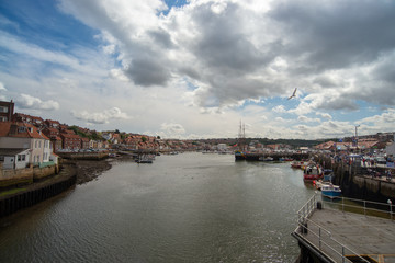 Obraz premium Whitby Harbour