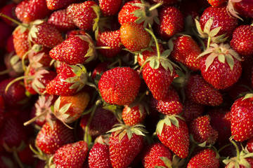 Ripe strawberries. A lot of ripe berries. Delicious vegan dessert.