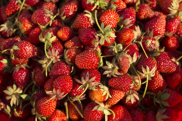 Ripe strawberries. A lot of ripe berries. Delicious vegan dessert.