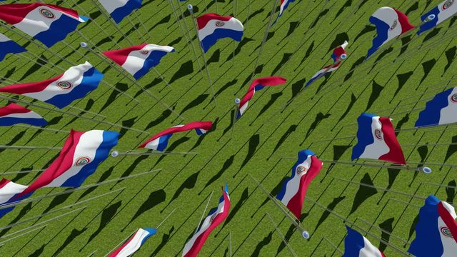 Paraguay flags blowing in the wind in green field, view from above. 3d rendering animation