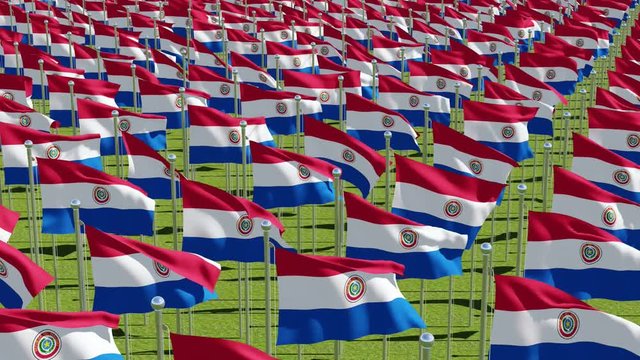 Many flags of Paraguay in green field. Three dimensional rendering 3d animation.