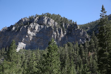 Rock Mountains with Trees