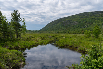 Obraz premium Beaver Pond in Arcadia National Park