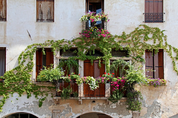 Fototapeta na wymiar antica facciata con rampicante e fiori sulla Piazza degli Scacchi a Marostica