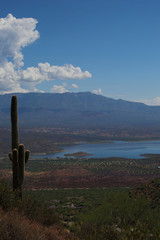 Arizona scenic view