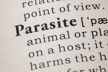 Obraz premium definition of parasite