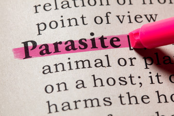 definition of parasite - obrazy, fototapety, plakaty
