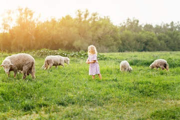 smiling and trying to feed sheep in summer outdoors / happy kids. children are brought up in nature. wild child. children and animals.