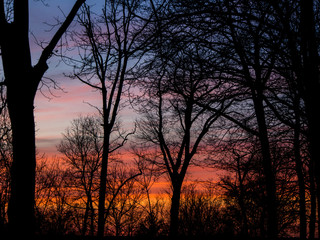 Fototapeta premium colorful winter sunset