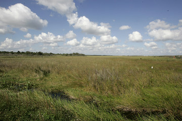 Everglades