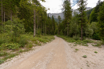 Fototapeta na wymiar Schotterweg ins Kaisertal