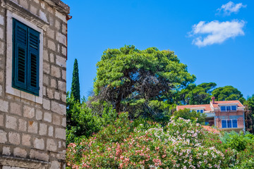 Fototapeta premium Flowers Outside Old Stone Building