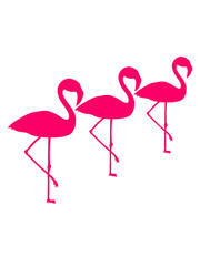 crew team 3 freunde silhouette umriss flamingo clipart comic cartoon vogel pink süß niedlich