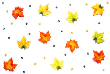Obraz premium Autumn leaves on white
