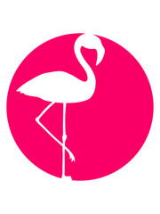 cool kreis rund logo silhouette umriss flamingo clipart comic cartoon vogel pink süß niedlich