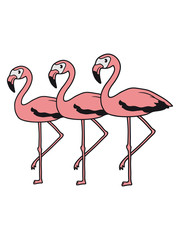3 freunde team crew flamingo clipart comic cartoon vogel pink süß niedlich