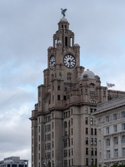 Fototapeta na wymiar The Royal Liver Building, A grade 1 listed building in Liverpool, United Kingdom