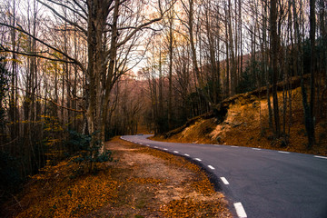 Obraz premium Curves - Montseny