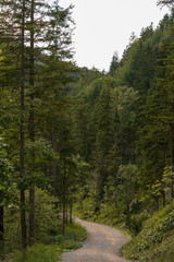 Schotterweg im Kaisertal