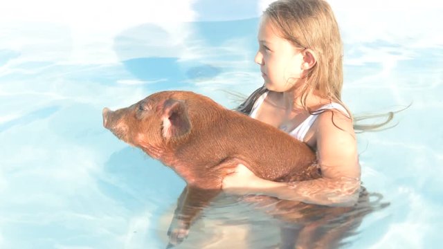 Young girl in bathing suit is swimming in clear, blue water of pool with red pig of Duroc breed. 2019 year of yellow pig. Concept of friendship between man and animals, respect for nature