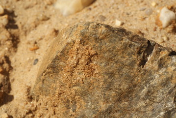 SONY DSC