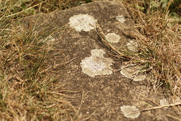 Obraz premium SONY DSC