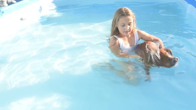 Young girl in bathing suit is swimming in clear, blue water of pool with red pig of Duroc breed. 2019 year of yellow pig. Concept of friendship between man and animals, respect for nature