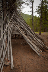 Fototapeta na wymiar Teepee made out of branches in Arapaho National Forest
