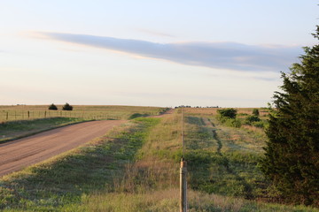 Fototapeta premium Fenceline