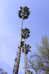 California, April 2012