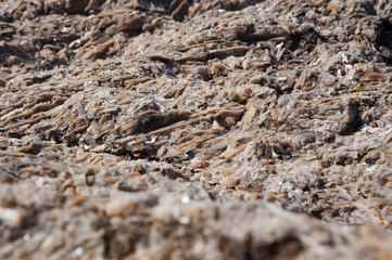 mountain stone on a hot summer