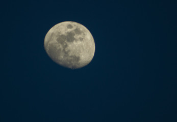 Super Blue Moon