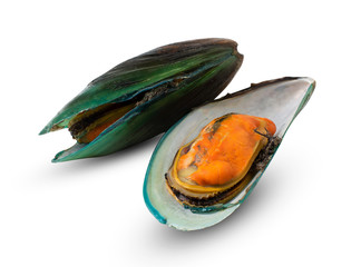 mussels isolated on white background. with clipping path.