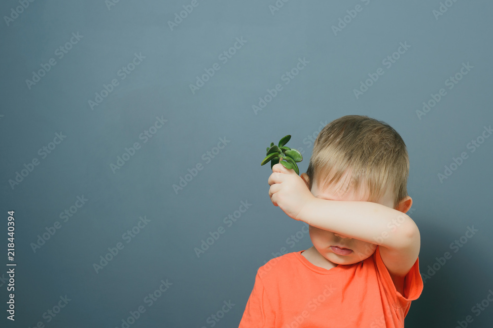 Wall mural caucasian blond baby boy in orange t-shirt plants crassula ovata plant, concept of investment in fut