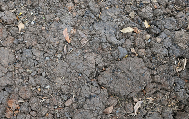 organic soil texture 