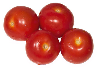 4 freshly picked tomatoes 