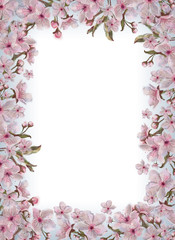 Fototapeta na wymiar Pink Flowers Template Isolated on White Background with Text Copy Space. Watercolor Floral Design for Print, Announcement, Card, Invitation, Poster, Romantic Design, Wedding, Valentine Day, etc.