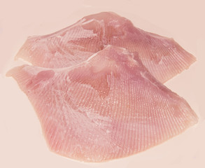 Ray wing fresh