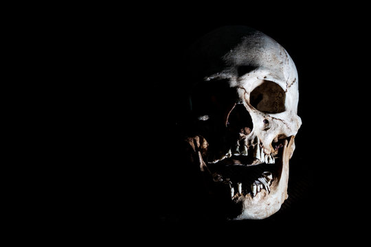 Human skeleton skull head isolated on black