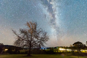 The Milky Way and Winter Tree